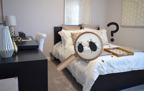 Bedbug treatment spray