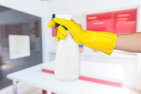 Green Cleaning for Pet Owners: Eco-Friendly Cleaning Solutions That Are Safe for Pets, Their Owners, and the Environment