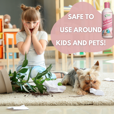 EcoEraser Stain and Odor remover 32oz