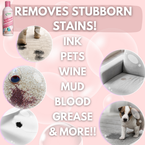 EcoEraser Stain and Odor remover 32oz