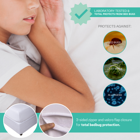 Total Protection Bed bug Kit