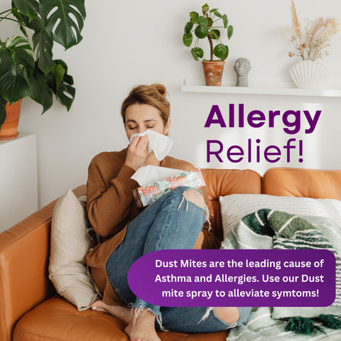 Dust Mite Killer Spray