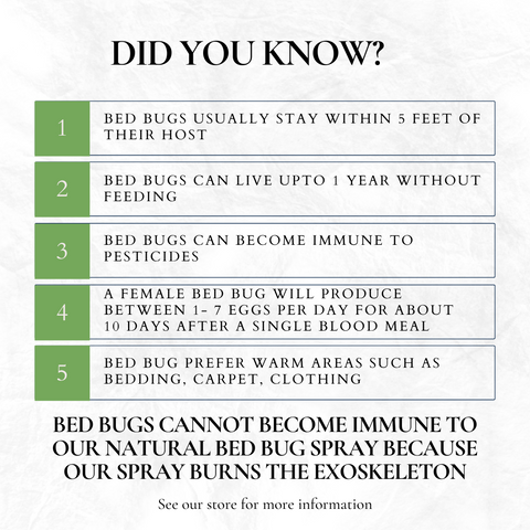 Bed Bug Killer Spray 24 oz