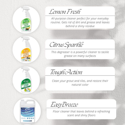 Kitchen Cleaning Kit