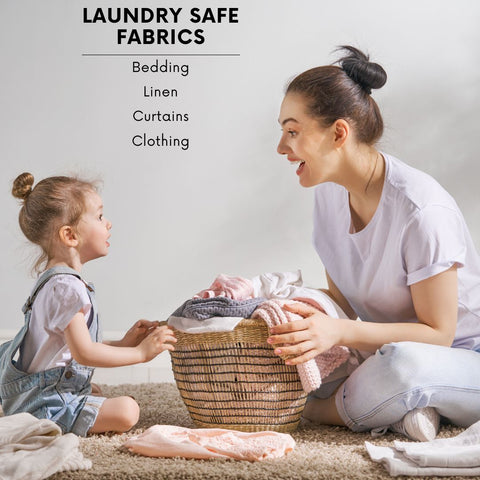 Extra Strength Bed Bug & Lice Laundry Additive 32oz