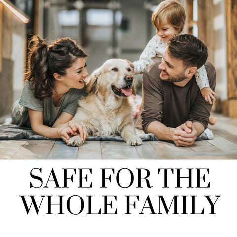 Extra Strength Bed Bug Spray 6 pack