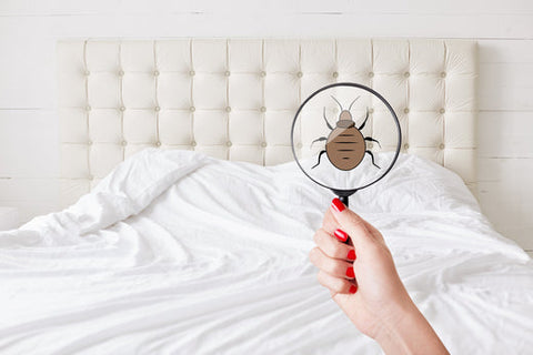bug travel sprays