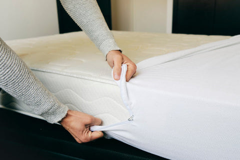 Bed Bug Proof Mattress Covers Help Keep Bed Bugs Out