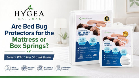 Are Bed Bug Protectors for the Mattress or Box Springs