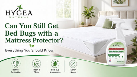 Can You Still Get Bed Bugs with a Mattress Protector