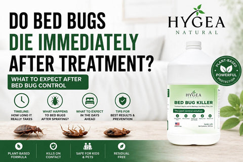 Do Bed Bugs Die Immediately After Treatment