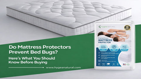 Do Mattress Protectors Prevent Bed Bugs Here’s What You Should Know Before Buying