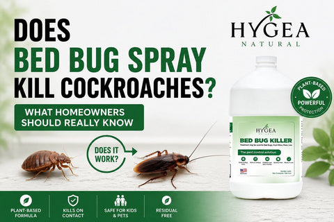 Does Bed Bug Spray Kill Cockroaches? What Homeowners Should Really Kno – Hygea Natural