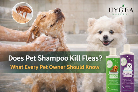 Does Pet Shampoo Kill Fleas? What Every Pet Owner Should Know