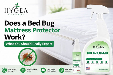 Does a Bed Bug Mattress Protector Work