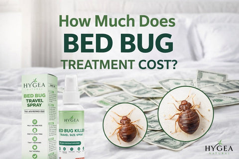 How Much Does Bed Bug Treatment Cost