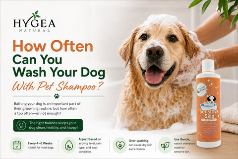 How Often Can You Wash Your Dog With Pet Shampoo