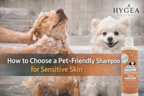 How to Choose a Pet-Friendly Shampoo for Sensitive Skin