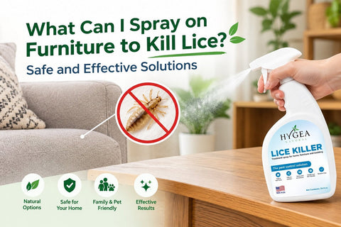 What Can I Spray on Furniture to Kill Lice