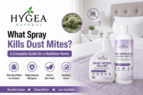 What Spray Kills Dust Mites
