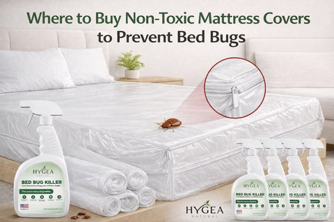 Where to Buy Non-Toxic Mattress Covers to Prevent Bed Bugs