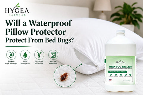 Will a Waterproof Pillow Protector Protect From Bed Bugs