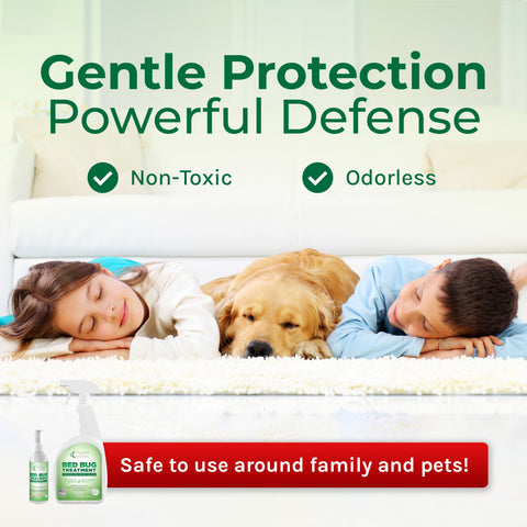 Bed Bug Spray & Travel Spray Kit