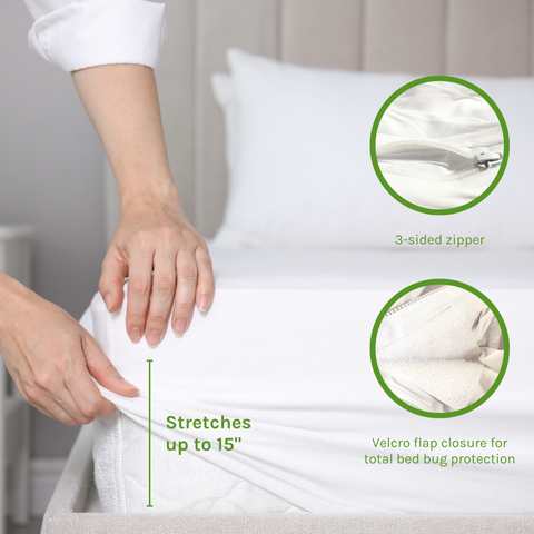 Standard Mattress Protector