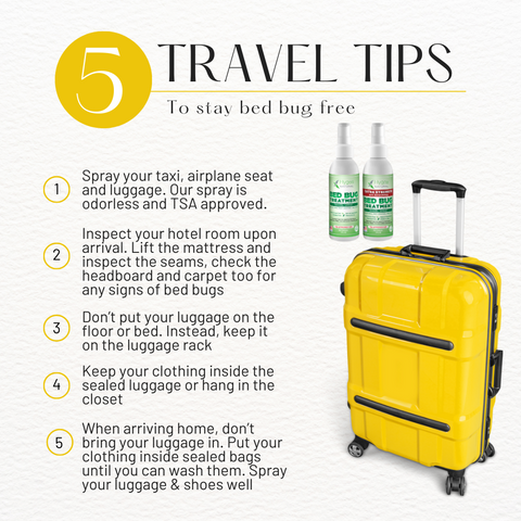 Bed Bug Spray & Travel Spray Kit