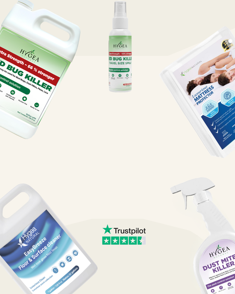 NON-TOXIC HOUSEHOLD SOLUTIONS