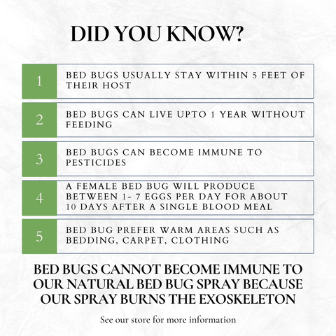 Bed Bug & Mite Treatment Spray 24 oz